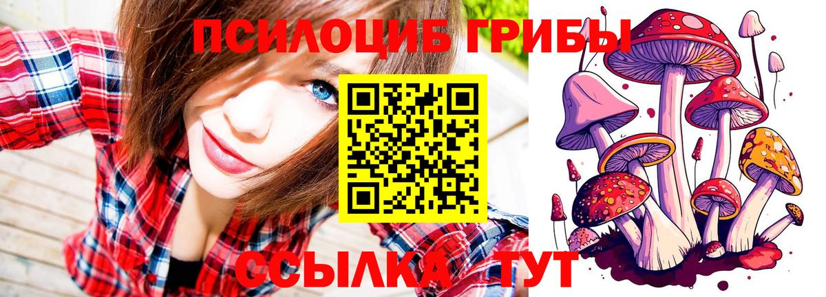 Галлюциногенные грибы прущие грибы Лабытнанги